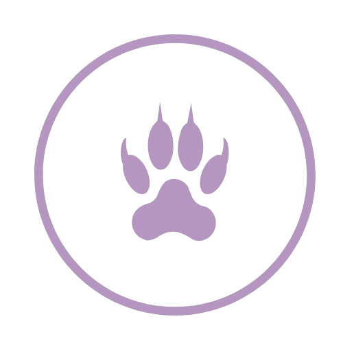 untitled design 8 removebg preview