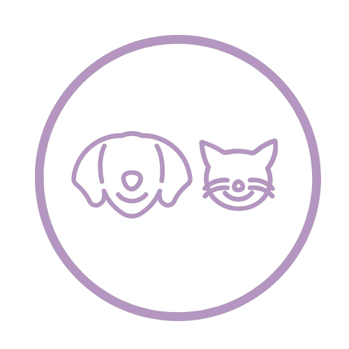 untitled design 9 removebg preview