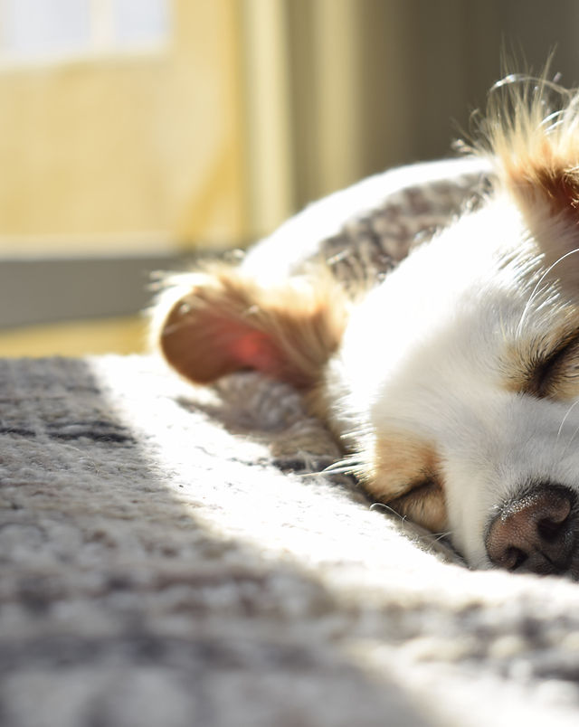 wechat image 20251007004516