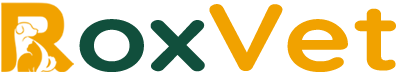 Logo-white-min.png
